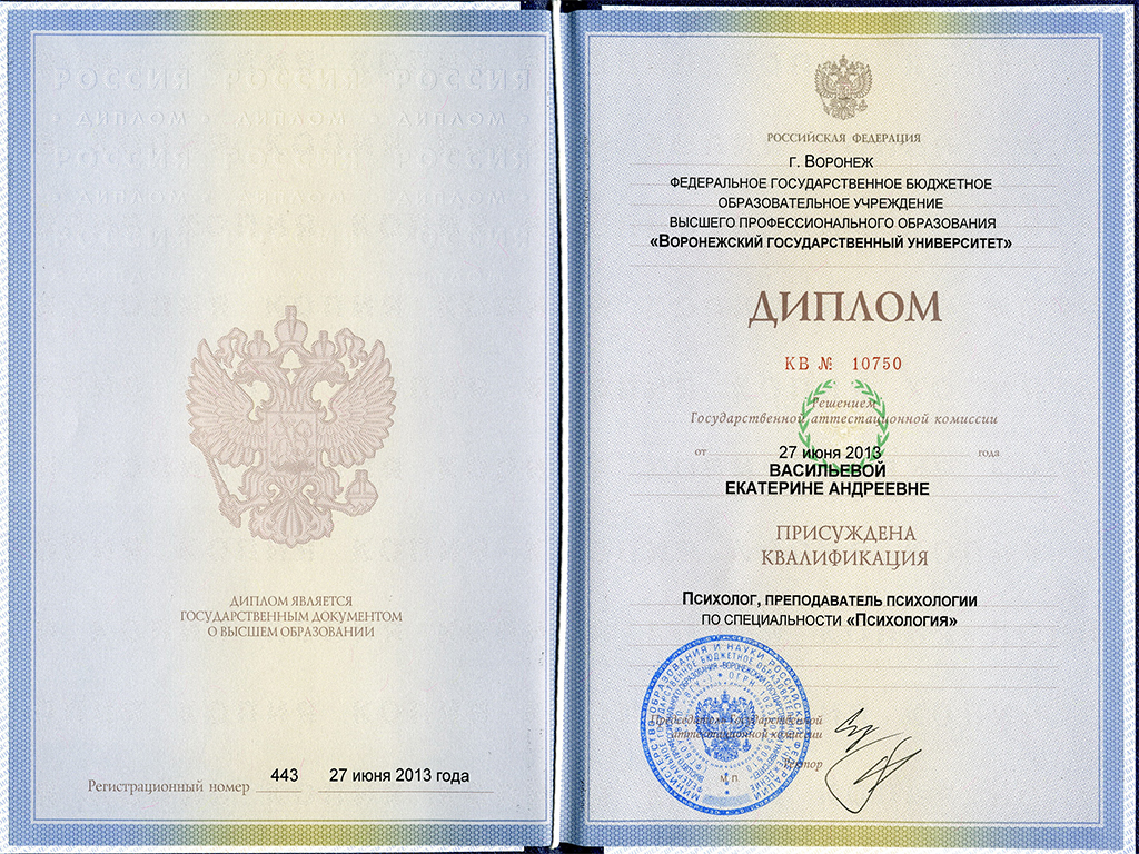 Диплом ВГУ